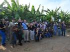 A tour of the Banelino banana farm