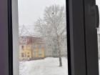 My view from my bedroom window in my "WG," or "shared flat"