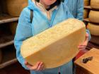 In January my class got to visit Trentino, a region of northern Italy in the Alps, near Austria. We visited the Trentingrana cheese factory. This is a cheese similar to Parmigiano Reggiano (not Parmesan!) but uses dairy cow breeds from the mountains. 