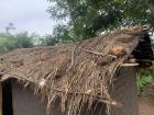 Closeup of the typical thatch roof