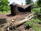 Thatch roof of this house has collapses in due to the heavy rains typical during the rainy season