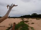 Typical landscape in one of the eco regions in the northeast