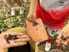Science project, making a worm bin to help compost. 