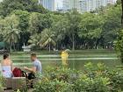 Welcome to Lumphini Park in Bangkok. It has a large pond that water monitors like to swim around