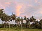 Lush and green, these rice paddies are the heart of Indonesia’s cuisine and culture