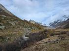 Chamois have adapted to live in these rugged mountains.