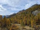 Chalets are made using the wood of larch trees, whose leaves turns a vibrant yellow in autumn