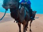 I got to ride a camel in the Sahara desert.