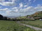 Here's a view of all the green grass that the cows eat.