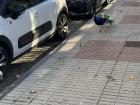 I saw a random peacock while walking through Oviedo.