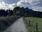 Views I get while walking through the city.