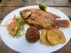 Caribbean-style "corrientazo" with "mojarra" (fish) and coconut rice