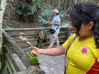 I pet a parakeet in a zoo in Pereira