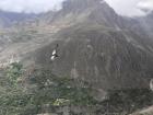 The black and white colorations of this Andean condor shows that it is an adult