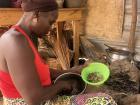 Maman sorting the dried fish 