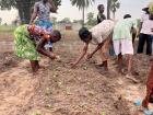 Transplanting seedlings with my community garden group
