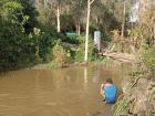 Fishing for trout in the town river using a weighted net