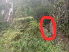 Yumbilla waterfall next to the trail to get down to the bottom (the rope that you use is circled in red)
