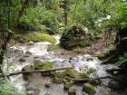 A small glimpse into the natural beauty of Peru