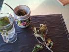 Preparing some boldo tea for an upset tummy
