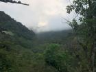 The mountains and lush vegetation of the cloud forest.