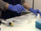 ELISA is a way to detect antibodies in samples