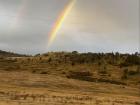A rainbow spotted coming back from camping!