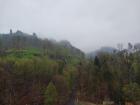 The area where we hiked was beautiful, and I had the best time just enjoying the nature around us!