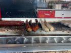 Bratwurst cooking on the grill for the carnival 