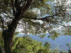 Colombia’s Coffee Axis Region