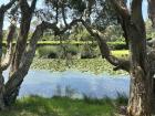 Centennial Park is used by locals for exercise and relaxing