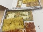 Here is a selection of Roman pizza!