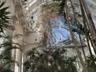 The greenhouse in Vienna, which once belonged to the Emperor but which is now open to the public