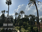 The Royal Alcázar of Seville is one of the Spanish royal family’s Castles. This is an image of the castle’s garden.