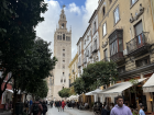 It is common for locals and visitors to walk around the city's center.