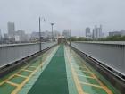 Seoul has many bridges you can walk across