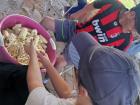 Taking kernels off the corn to make humitas with family!