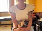 Me with my cute chihuahua named Yoli