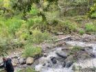 The river is super high because we are in the rainy season