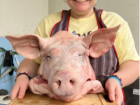me holding a pig head before cleaning and cooking it