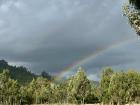 Always looking for the rainbows around me!