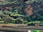 This lavadora is where farmers wash their crops to be able to sell them in bigger cities like Lima