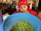 A family member helps me peel beans in the grandma's restaurant