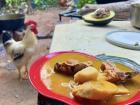 A traditional Dominican meal cooked over a fire