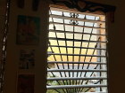 My pretty view