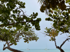 A beautiful beach view in Samaná
