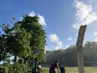 Starting to build the columns