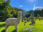 Un alpaca en el hotel de mi amigo