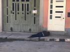 Una persona dormida en la calle