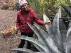 Flor admirando una planta de Agave